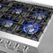 Forno Galiano 48In. Freestanding French Door Gas Range FFSGS6444-48 - alternate 2